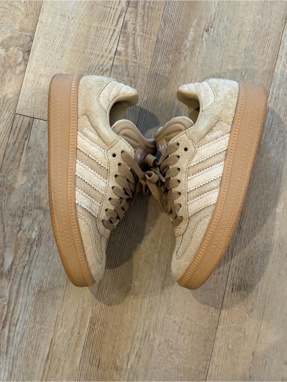 Adidas XL Sambas
